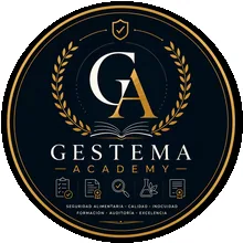 Gestema Academy